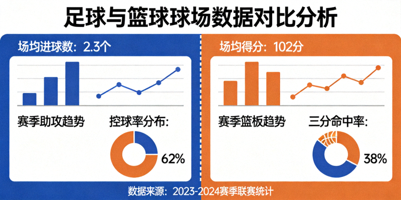 足球与篮球在球场上的数据可视化分析图表展示